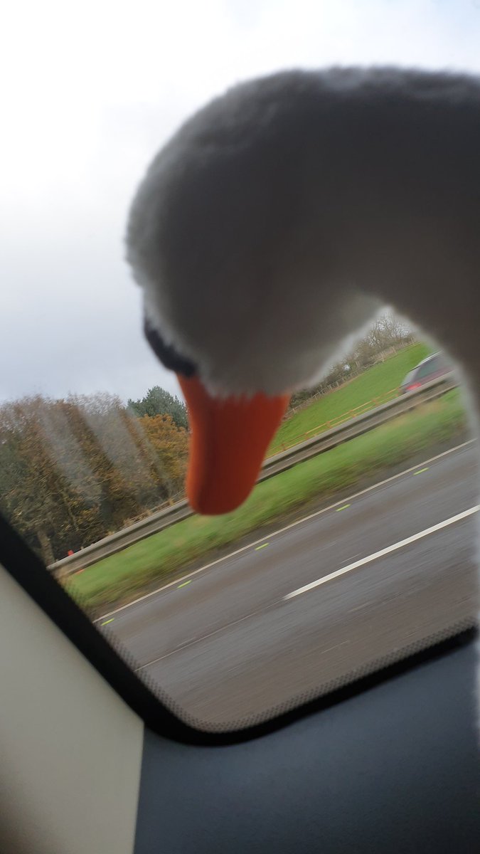 lugs_lincoln's tweet photo. Road trip! #Swangoals https://t.co/Pae0V4qvnf