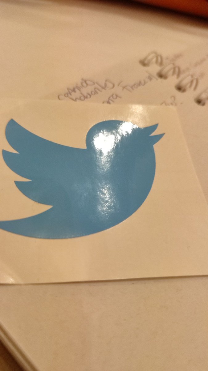 andyversioon's tweet photo. La matada tuvo su premio de participación #ABCdeTwitter https://t.co/Qp9sshUoOV