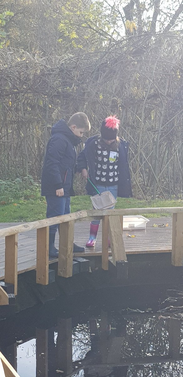 chris bingham tweet media