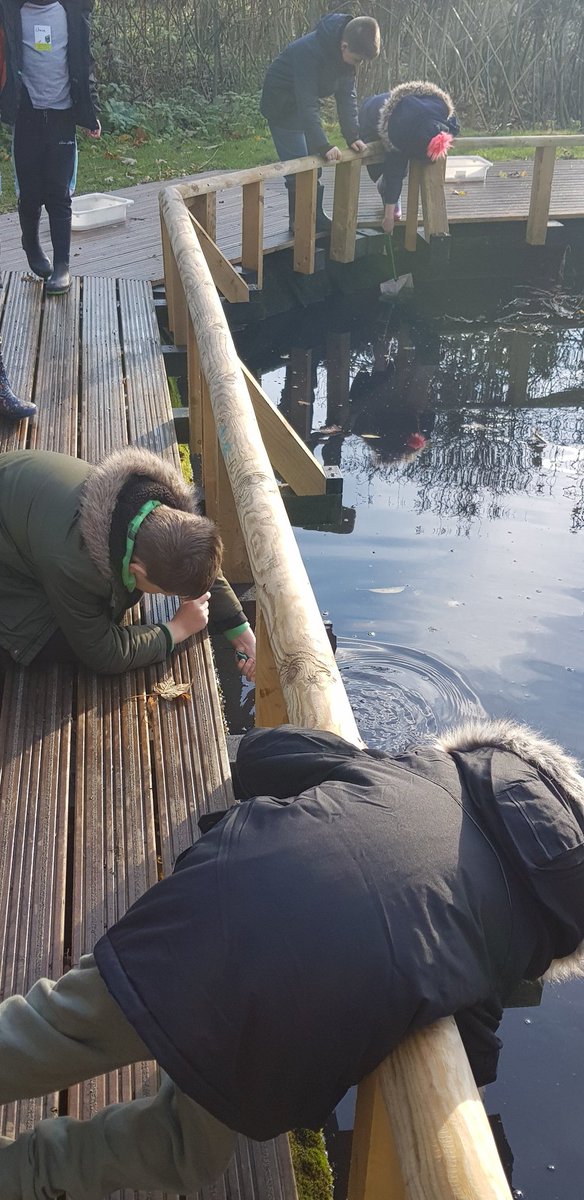 chris bingham tweet media