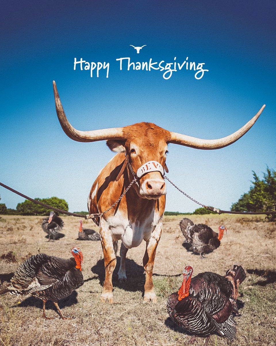 TexasLonghorns's tweet photo. thankful for y'all 🤘

#HookEm https://t.co/5Zk0Ye2mNP