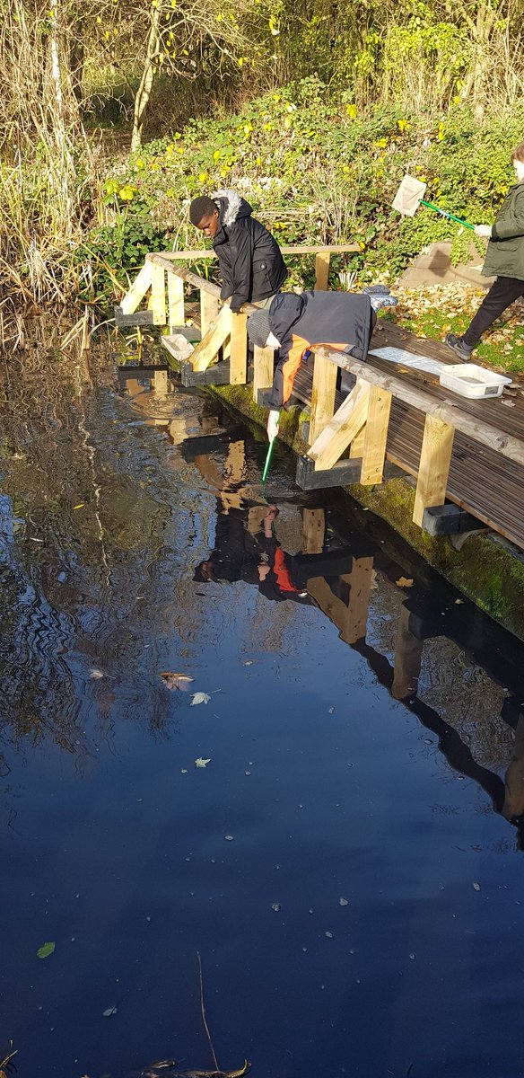 chris bingham tweet media