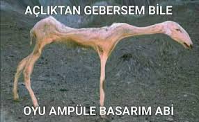 Lan bunu kim yaptı sjsjsjsjsjsjsjsjsj

#hükümetistifa
#devalueasyon 
#HemenSecim 
#Dolar13TL