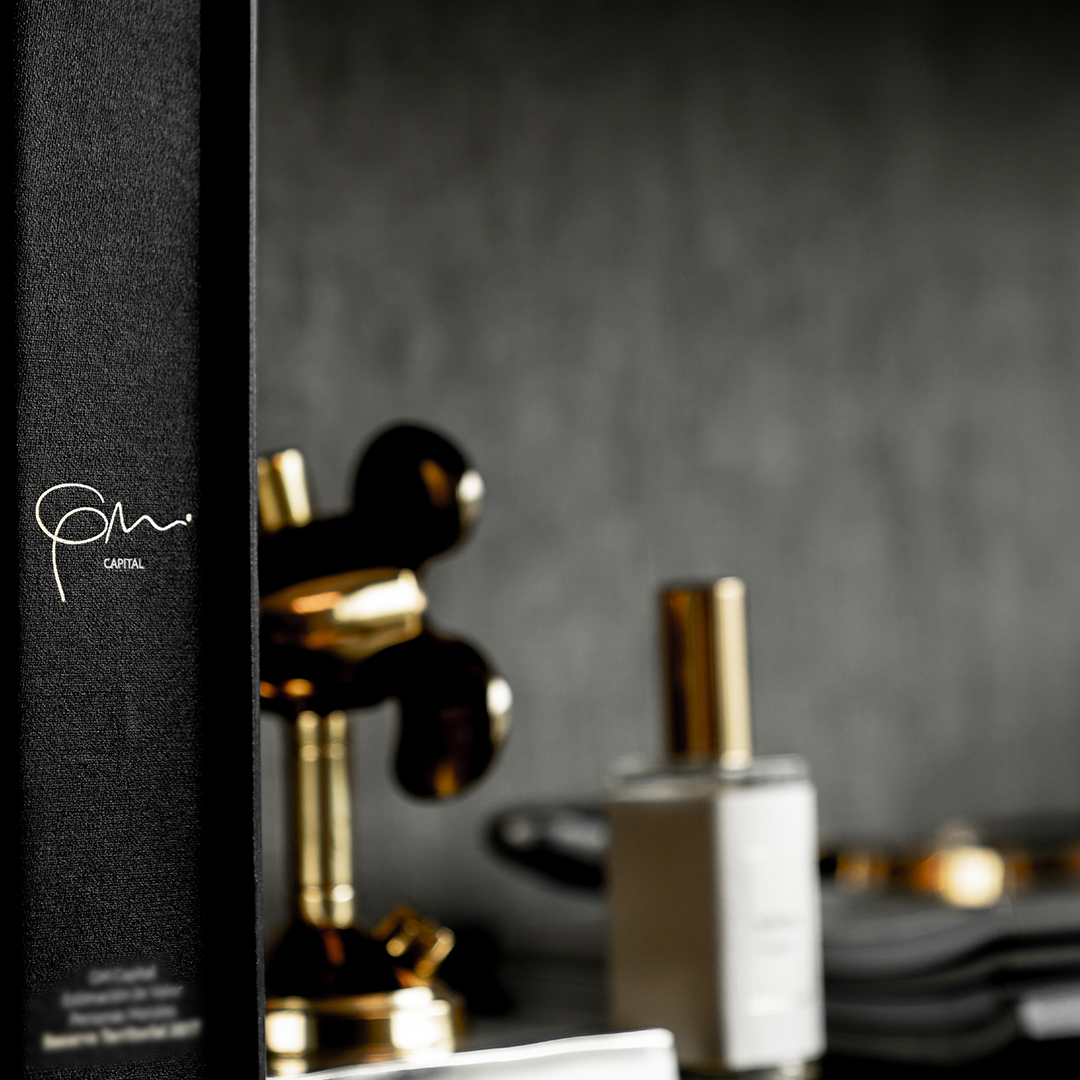 GM Capital es parte de una gran historia de visión, entrega y trabajo arduo. 

#gmcapital #elfuturolocreamostodos