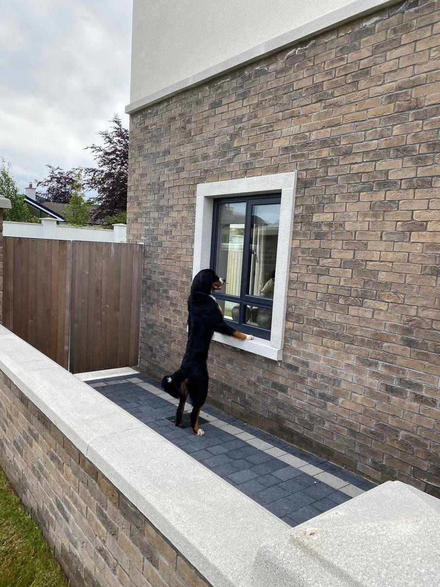 WinAHouseInSligo tweet media