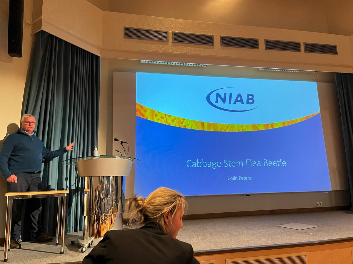 Thank you Colin Peters from NIAB for giving us more insights into cabbage stem flea beetle! 👍👍👍