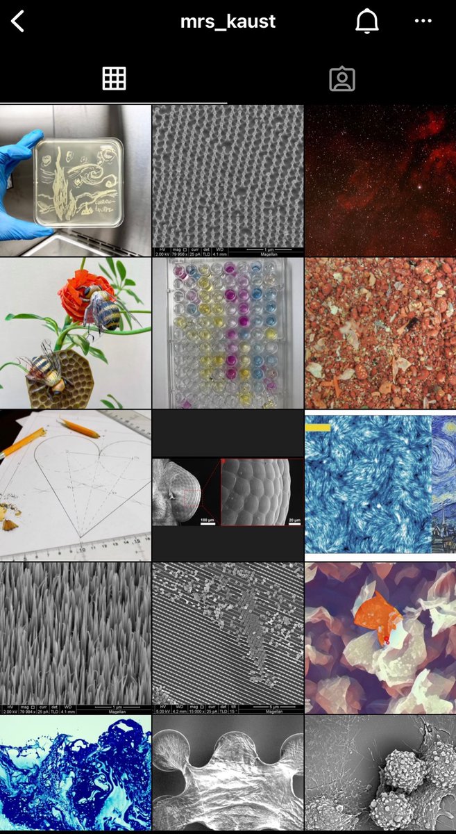 Yo can see all the pictures from Science as Art 2021 in our Instagram page:
instagram.com/mrs_kaust?utm_…