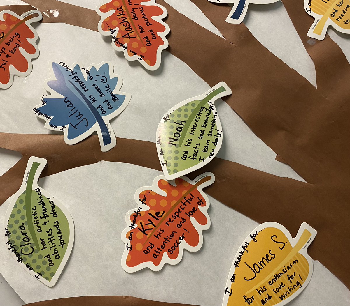 WBEteacher's tweet photo. I am thankful for my great class this year! @WoodbrookCCS https://t.co/4nE3DfQvnO