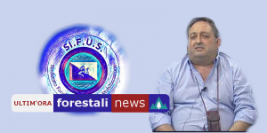 ForestaliNews's tweet photo. Forestali. La III Commissione ha “deciso di non decidere”. Sifus: Stabilizzazione ancora possibile, ma si deve trattare con Roma” https://t.co/nIsjB9EzfG
