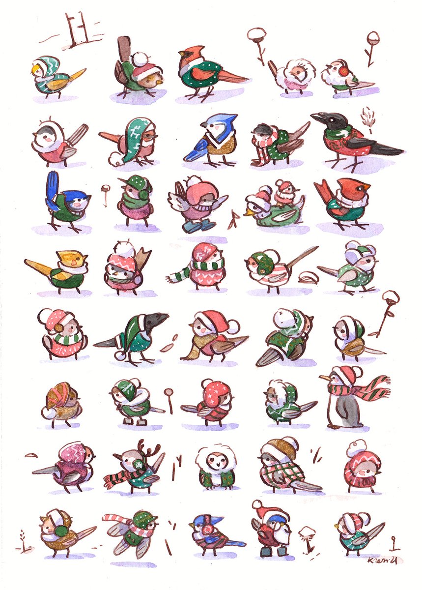 Birds in sweaters ? Birds in sweaters !