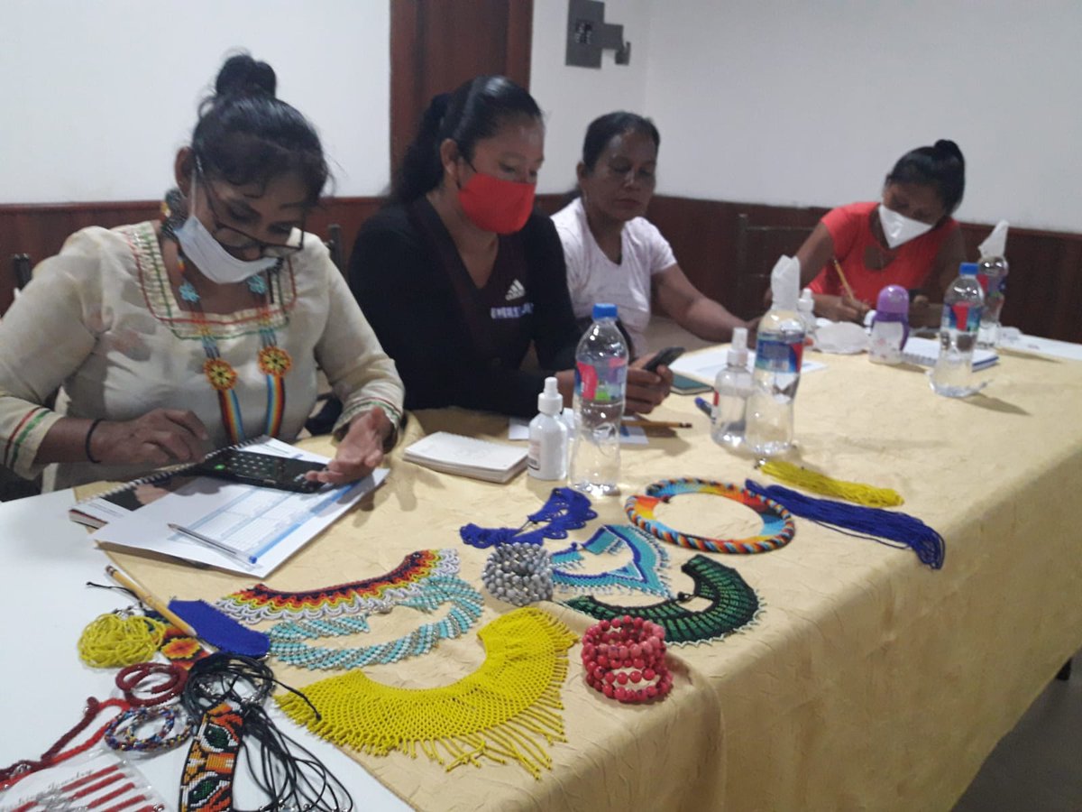 onumujeresEcu's tweet photo. En Lago Agrio se desarrolló el Encuentro de Lideresas de la Escuela de Formación de Mujeres Amazónicas del proyecto @onumujeresEcu - @PROAmazoniaEC  participaron alumnas de la @confeniae1 y productoras de café y cacao #SomosMujeresAmazónicas 

@AgriculturaEc @Ambiente_Ec https://t.co/CQZJNkW6GS