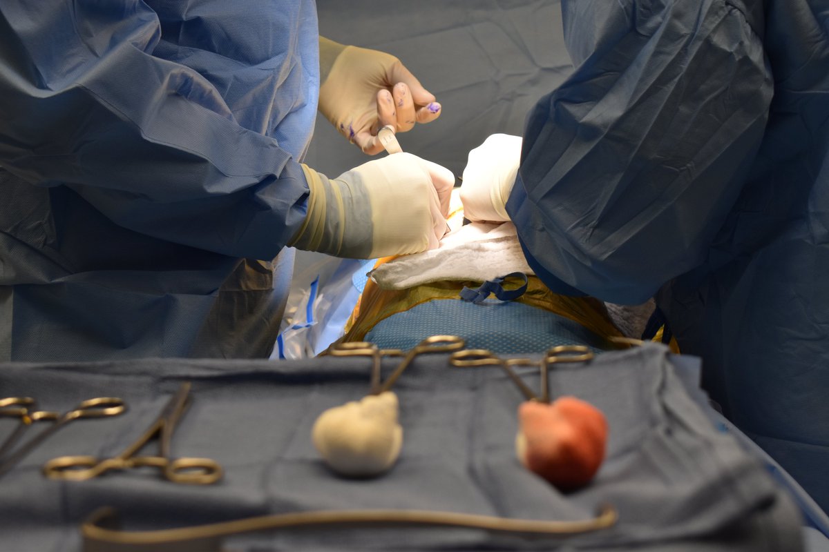 umassmemorial's tweet photo. The Thoracic Surgery division of @UMassSurgery  won an education research grant from the @IntuitiveSurg Foundation to study emergency undocking procedures in the Thoracic Robot OR. https://t.co/BmYTF95lvE