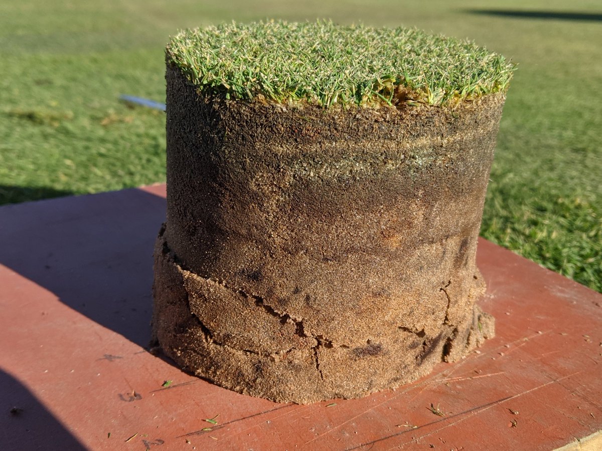 Doug Linde tweet media