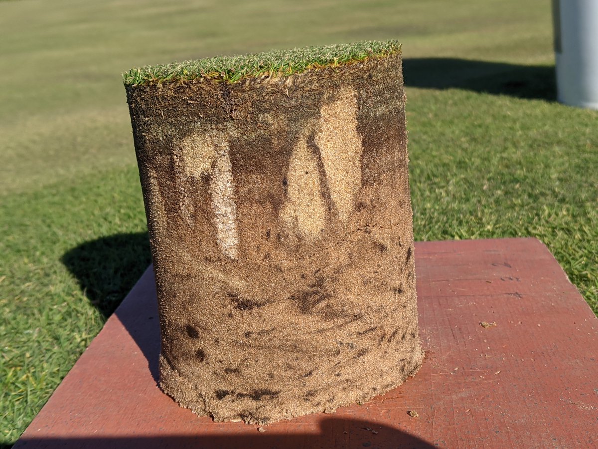 Doug Linde tweet media