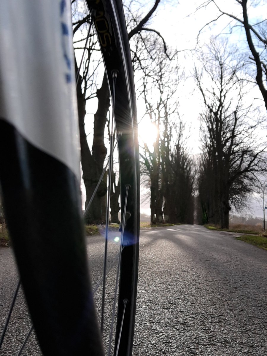 bikeAlottle's tweet photo. Short #tuesdayride with #thelittleone 🚴🏽‍♀️
Frosty nights means Madone stays in the shed 'till no more salty roads
#winteriscoming #aatr #lovecycling #tryingtostaysane https://t.co/PWuDOl0cAG