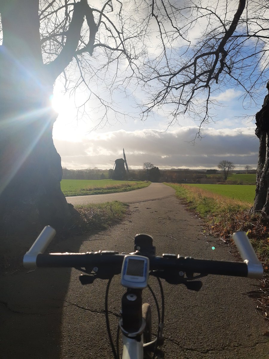 bikeAlottle's tweet photo. Short #tuesdayride with #thelittleone 🚴🏽‍♀️
Frosty nights means Madone stays in the shed 'till no more salty roads
#winteriscoming #aatr #lovecycling #tryingtostaysane https://t.co/PWuDOl0cAG