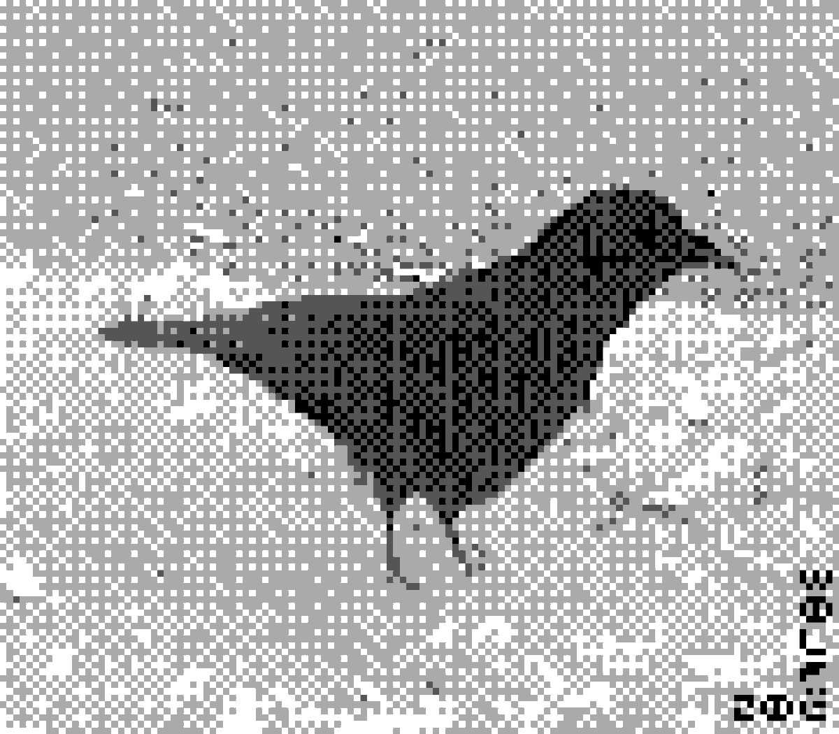 glitch_wolfe's tweet photo. the camera                          the shot https://t.co/1UjFZTXuDu