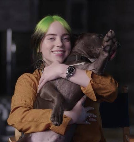 InfoBillieBR's tweet photo. O MAIOR! Shark torna-se o primeiro cachorro da história a ser indicado ao #GRAMMYs de “Álbum do Ano” por sua participação no “Happier Than Ever”. https://t.co/50aYYAEoau
