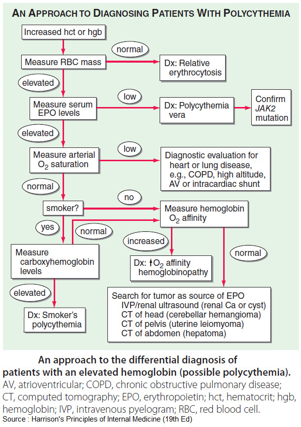ManualOMedicine's tweet photo. An approach to Diagnosing Patients with Polycythemia

#meded #foamed #medtwitter #hematology https://t.co/PjmcBk45HJ