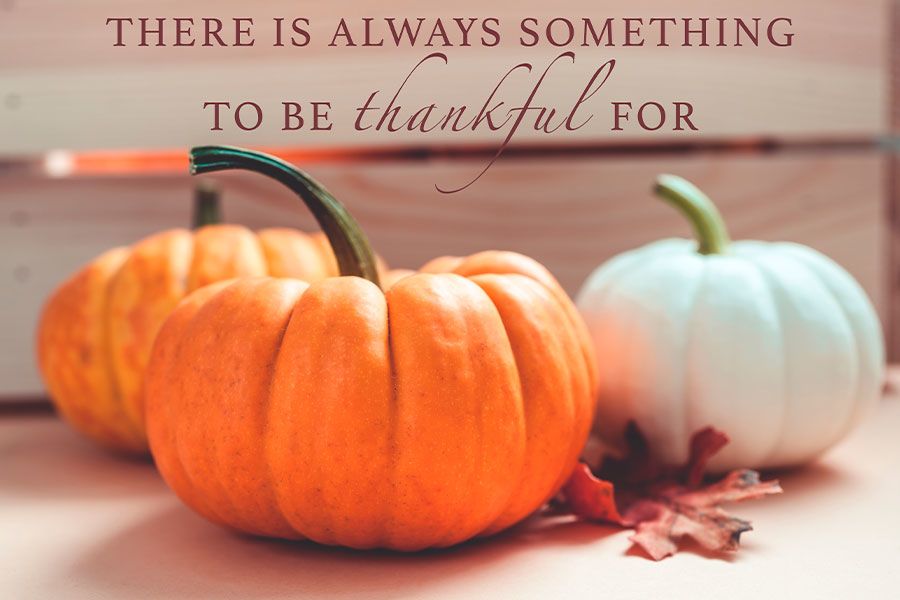 BalJagat1's tweet photo. On this Thanksgiving holiday we show our appreciation to you all, our extended family. We express thankfulness that every day we do what sparks joy in us and aids in the betterment of humanity. We are grateful to all of you in our community for the friendship and support all year https://t.co/JPHIPm6GVQ