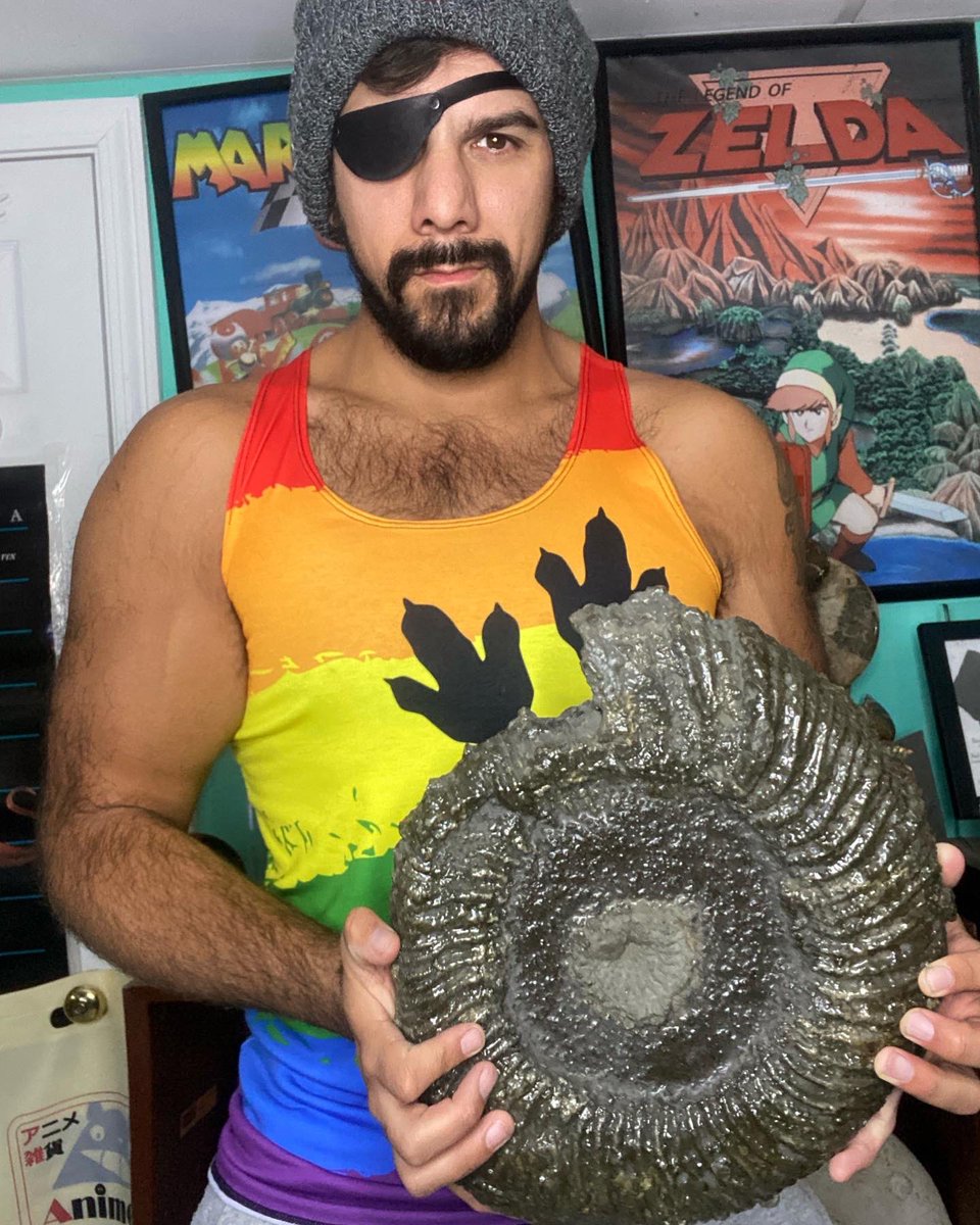 Fossildaddy's tweet image. Just like people, fossils should never be judged by their outward appearance. Take this ammonite from the Middle Jurassic Period (Upper Callovian Stage). It’s outer appearance is quite rough, preserved with bubbling pyrite.