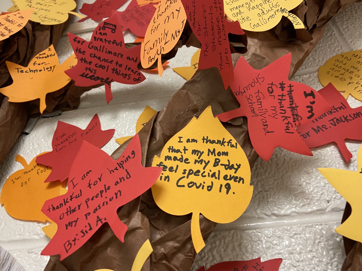 PrincipalABell's tweet photo. Zooming in on the leaves. https://t.co/pznQJ4VflI