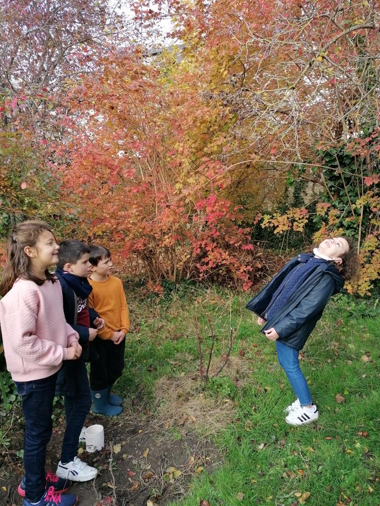 CaenEcole's tweet photo. Les CE1 font de la poésie au jardin… Quel bonheur ! Ils rêvent ensemble, et construisent leur imaginaire. Cap Espérance ! https://t.co/HSXkDSObBs
