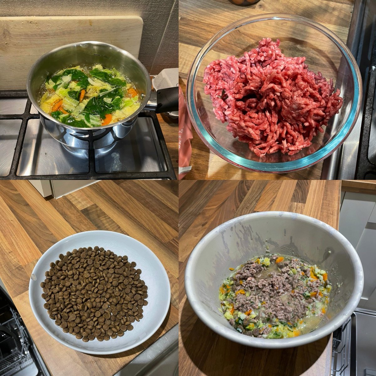 BlueTickGeorge's tweet photo. What does a retired racing champion greyhound get for dinner?
The same as when I was racing. Fresh vegetable soup, biscuits and meat. You can’t perform at your best if you aren’t fed the best.
#RetiredNotRescued #LovedRacingLovingRetirement #EducatingThePublic https://t.co/TKD940jfkB