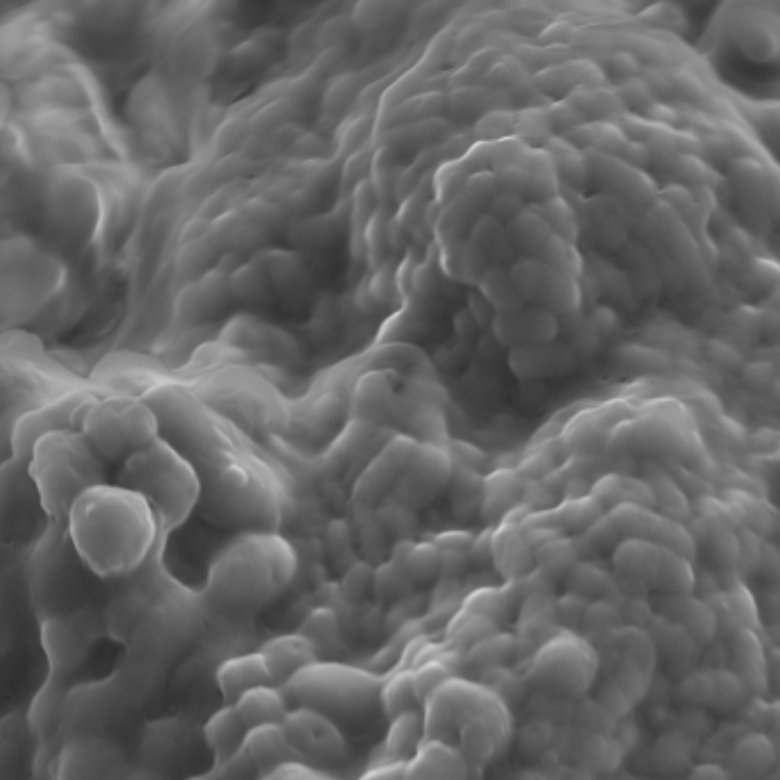 National Biofilms Innovation Centre (NBIC) tweet media