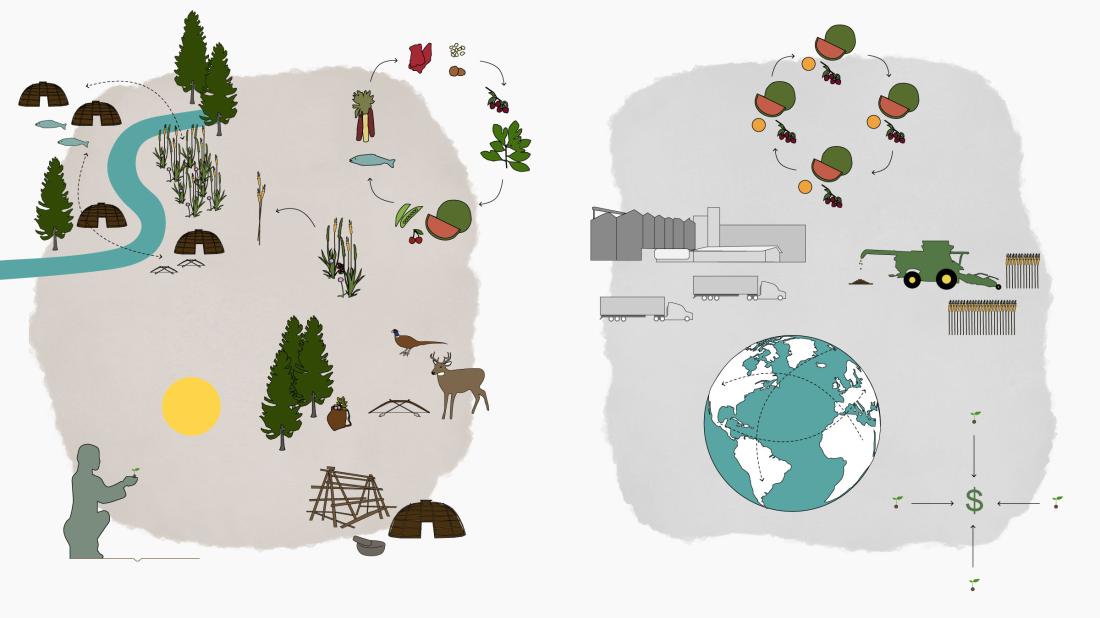 quartzthings's tweet photo. Applying strategies from indigenous systems in an industrialized world brings a very different way of generating and producing food than what consumers have come to expect—Here are some ways that indigenous food systems differ from industrial ones

https://t.co/3a9E8Y7OfY https://t.co/SoPApcDmvD