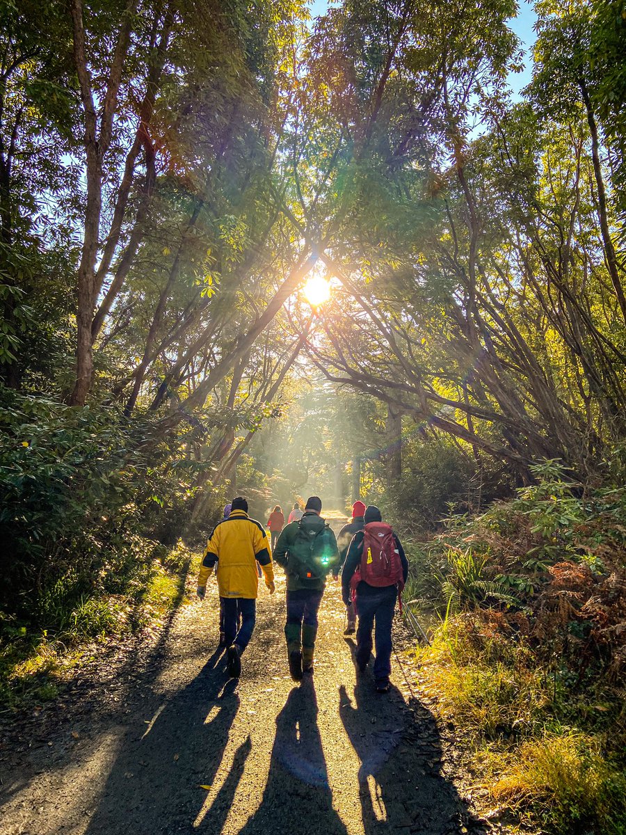 FieldStudiesIRL's tweet photo. Beautiful Glengarra Woods today, with @LeaveNoTraceIrl &amp; Burncourt Community Council 🌳

@coilltenews @CoillteOutdoors @venturesafe https://t.co/DHrHbR9ebs
