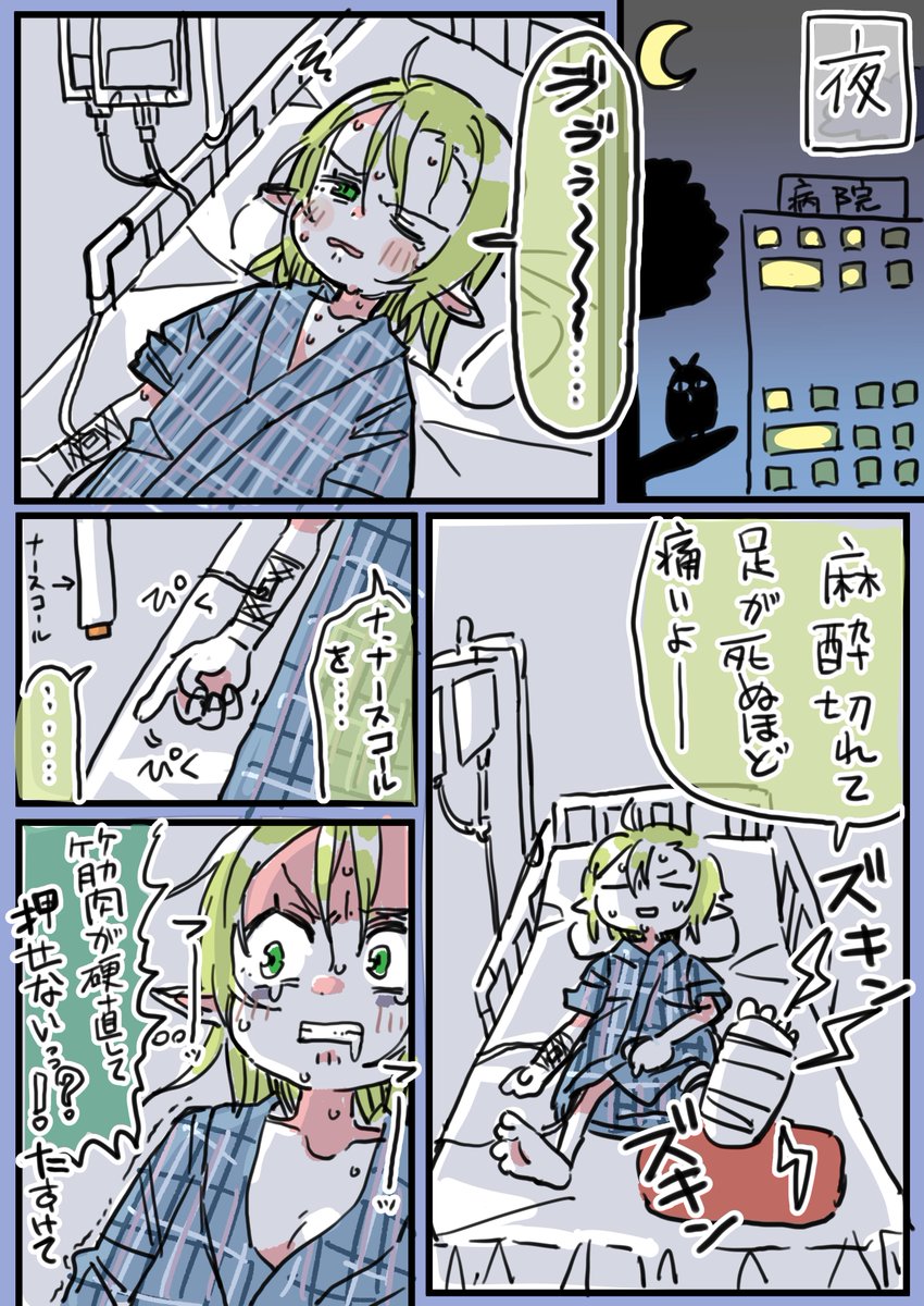 できた。ザクロちゃん入院絵日記その3が。 