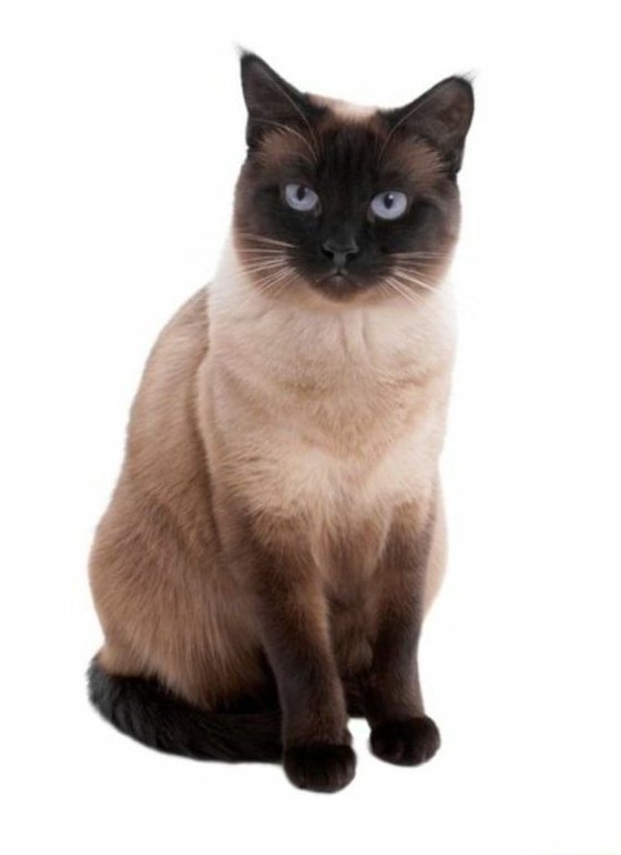 OregontheDM's tweet image. 