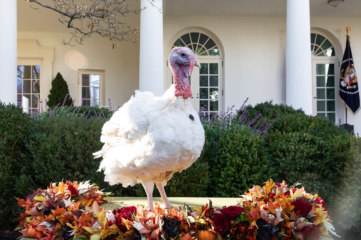 VirtualTelecomm's tweet photo. Pardon me, but Virtual Telecomm wanted to let you know our offices will be closed on Thursday, November 25, 2021 in observance of Thanksgiving.

Happy Thanksgiving from all of us at Virtual Telecomm! https://t.co/tYsGCkaHVn