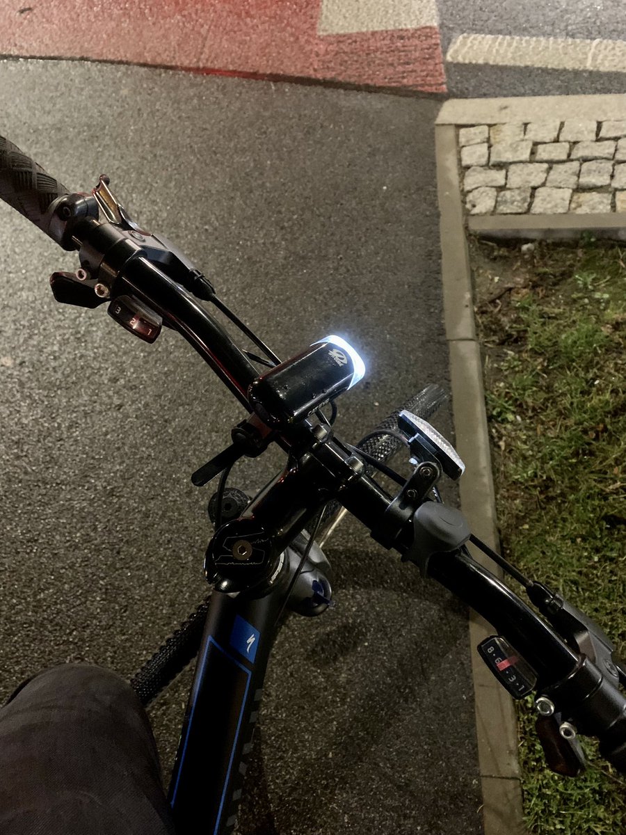 #dailybike #bikedog