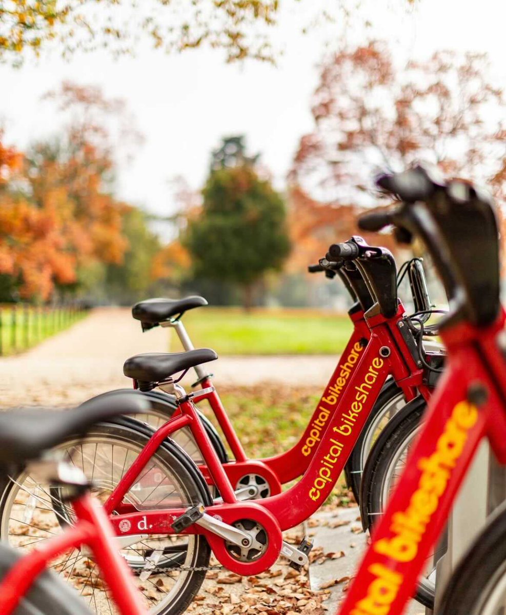 No car? No problem. With <a href="/bikeshare/">Capital Bikeshare</a> right around the corner, it’s easy to explore the DMV on two wheels. 🚲 Discover life in a prime location: novelsouthcapitol.com/neighborhood