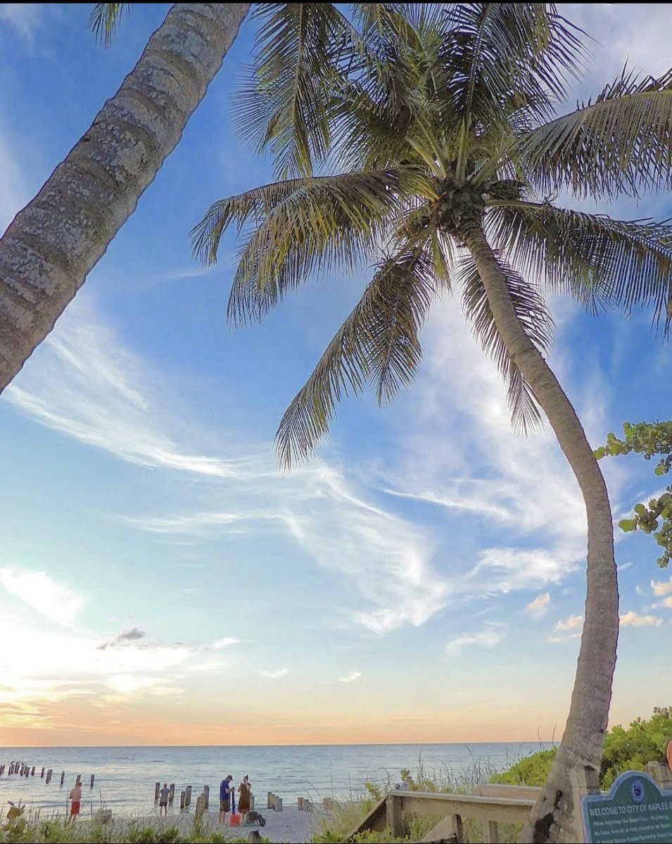 LemonTreeInn's tweet image. Cheers to you, Naples ✨. 📸: IG @blueoceanflorida #VisitFlorida #ParadiseCoast #beach