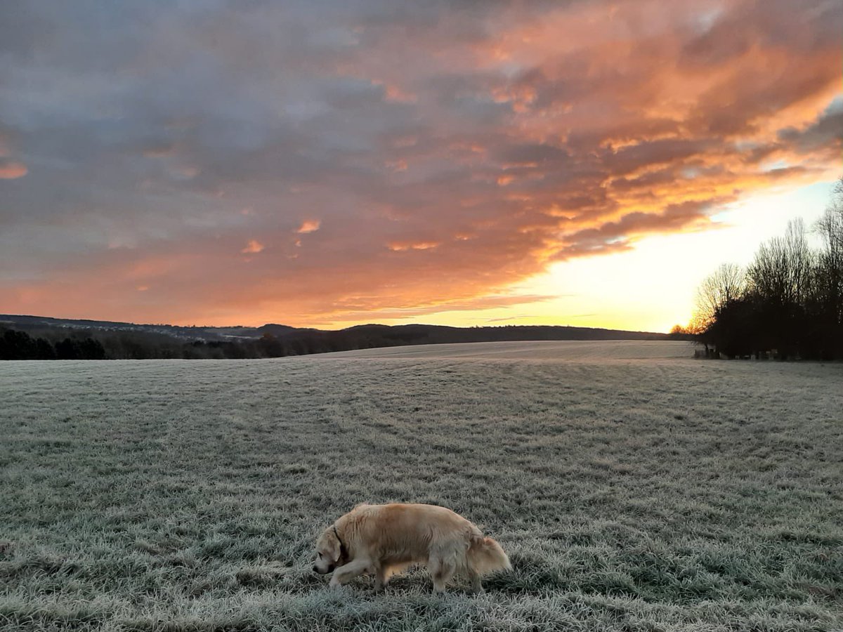sas2606's tweet photo. Walk with Jimmy in the morning light. Start of a cold but beautiful day. #Nature 🌥❄️
#HelloFromHeaven ✨✨✨ https://t.co/aDtpLtEPly