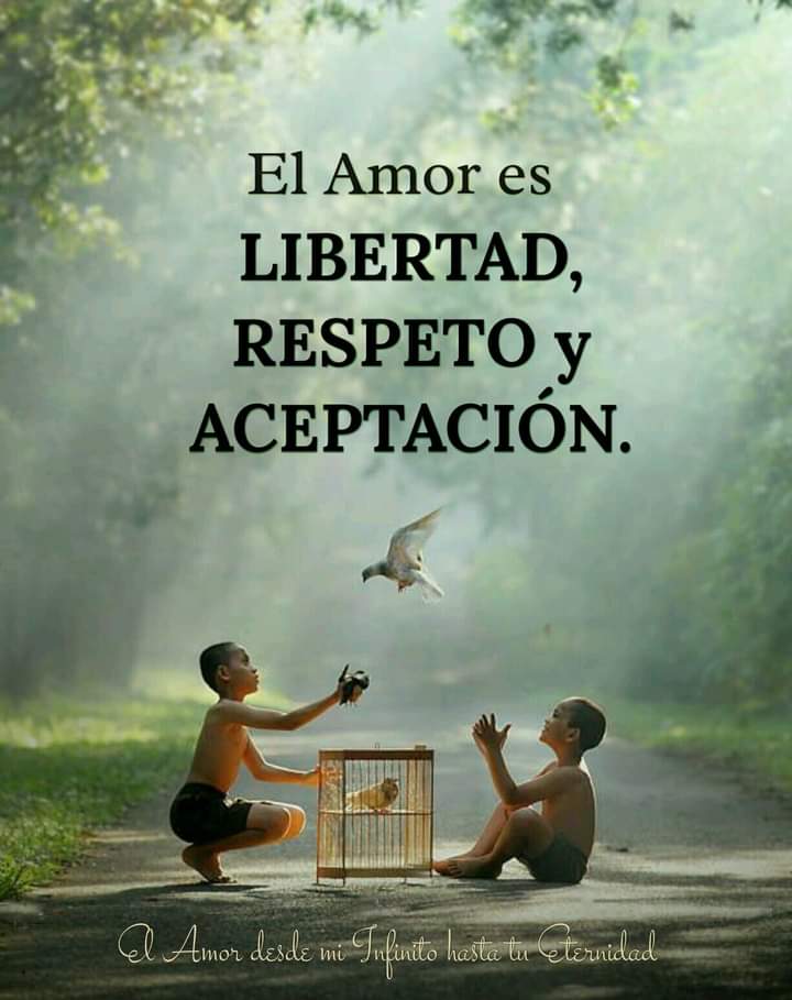 sjmarevalo's tweet photo. El amor es... https://t.co/g8nrZrrP0z