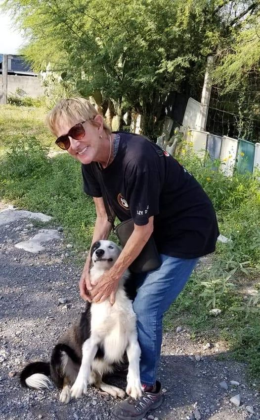 11 years Dottie has devoted her life to saving animals and helping the poor of Hidalgo Mexico..can you help her help them?? 
facebook.com/potreropups.org
instagram.com/fionaanimalref…
#IBelieveinKindness