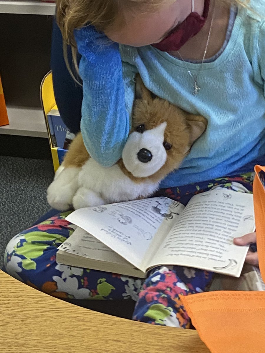 WBEteacher's tweet photo. School-wide Reading Celebration!@WoodbrookCCS @WBEteacher https://t.co/q5qa5ybHNS