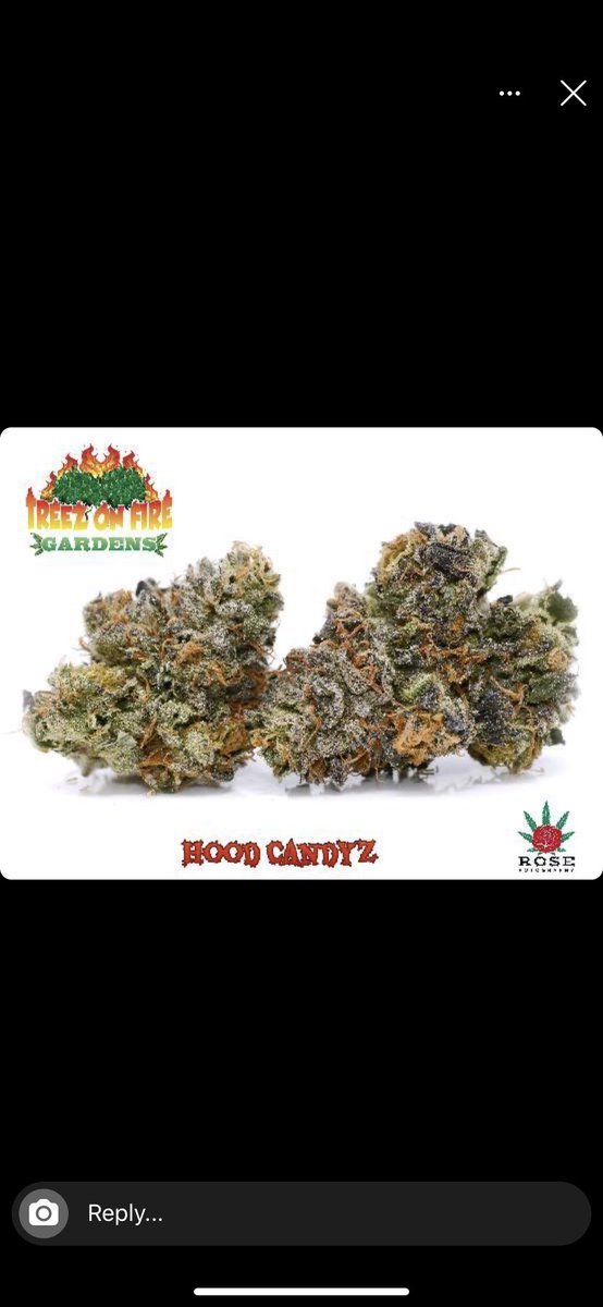 treezonfire707's tweet image. Some pics of Our indoor flowers!! 
#treezonfiregardens #CannabisCommunity #indoor #organicfarming #wesmokefire #highsociety #valleygrown