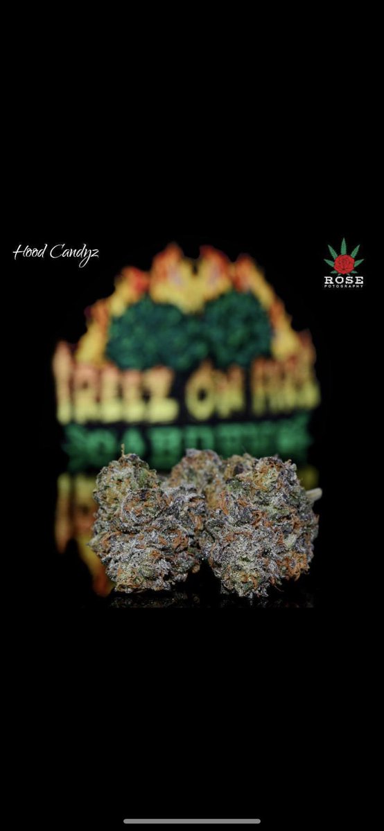 treezonfire707's tweet image. Some pics of Our indoor flowers!! 
#treezonfiregardens #CannabisCommunity #indoor #organicfarming #wesmokefire #highsociety #valleygrown