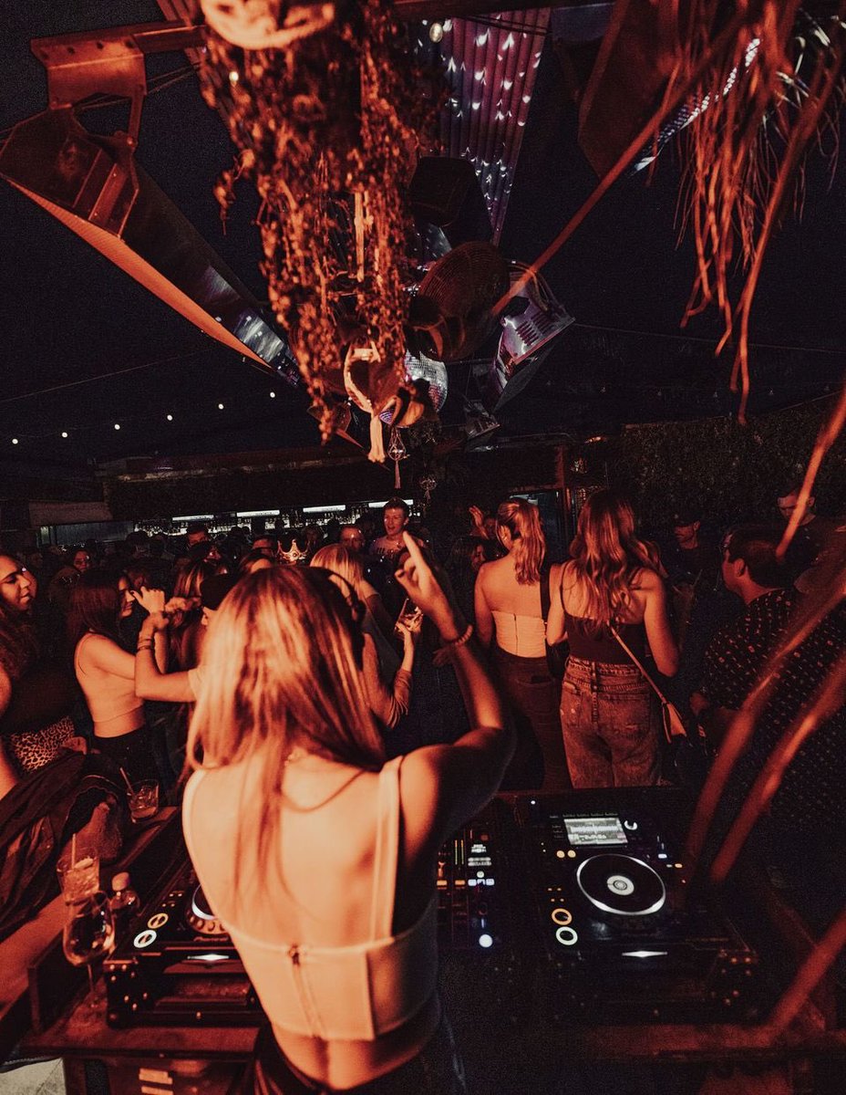 MER BEAR tweet media