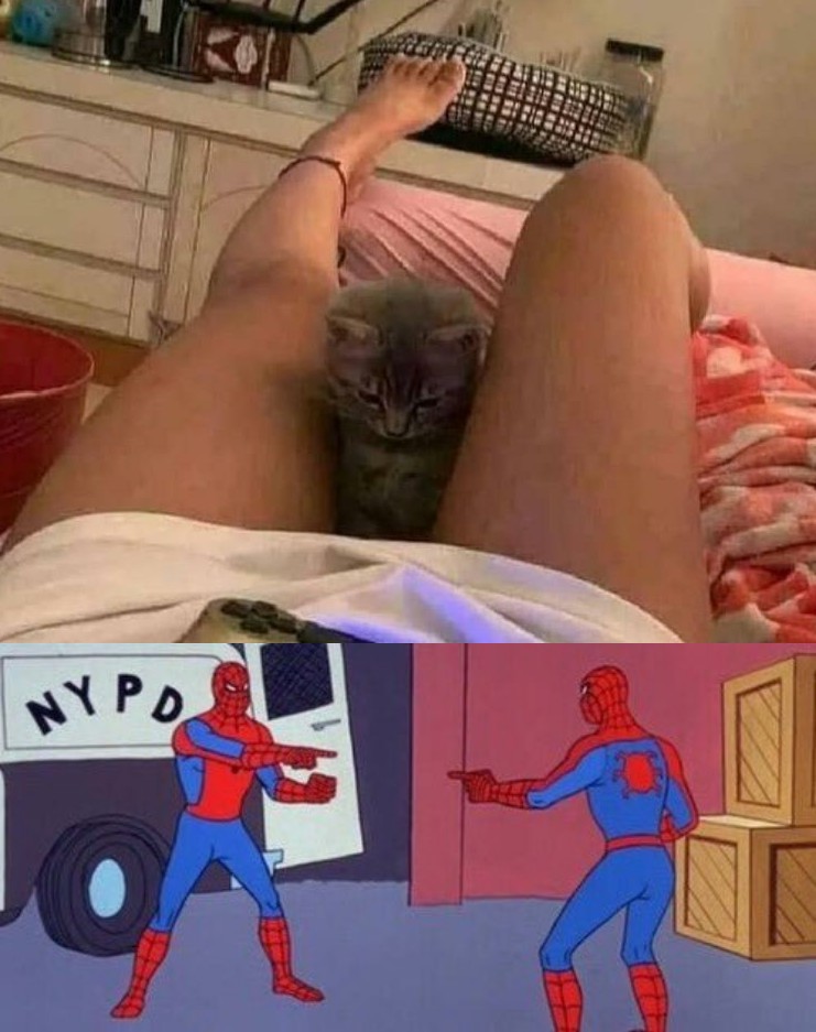 Meeeowwwza!