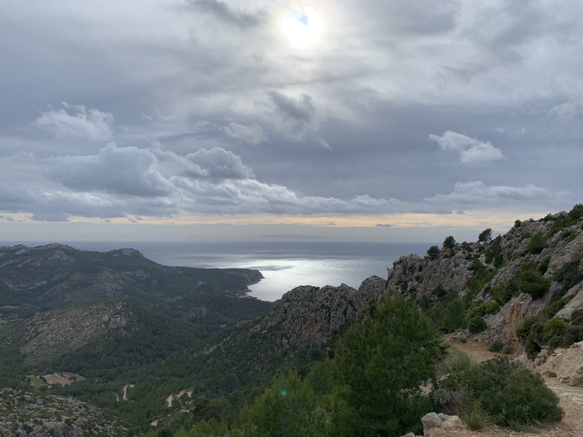 Josemgr_UIB's tweet photo. Aprovechando que el fin de semana pasado nos dio un poco de tregua en cuanto a la lluvia... 🌧

Aquí os dejo unas fotografías de La Trapa que realicé yo mismo durante la excursión 📸 https://t.co/W79yywZxJO