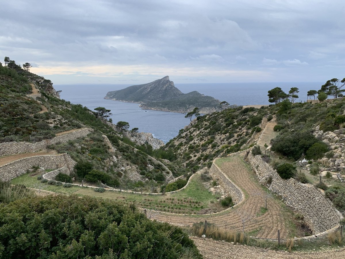 Josemgr_UIB's tweet photo. Aprovechando que el fin de semana pasado nos dio un poco de tregua en cuanto a la lluvia... 🌧

Aquí os dejo unas fotografías de La Trapa que realicé yo mismo durante la excursión 📸 https://t.co/W79yywZxJO