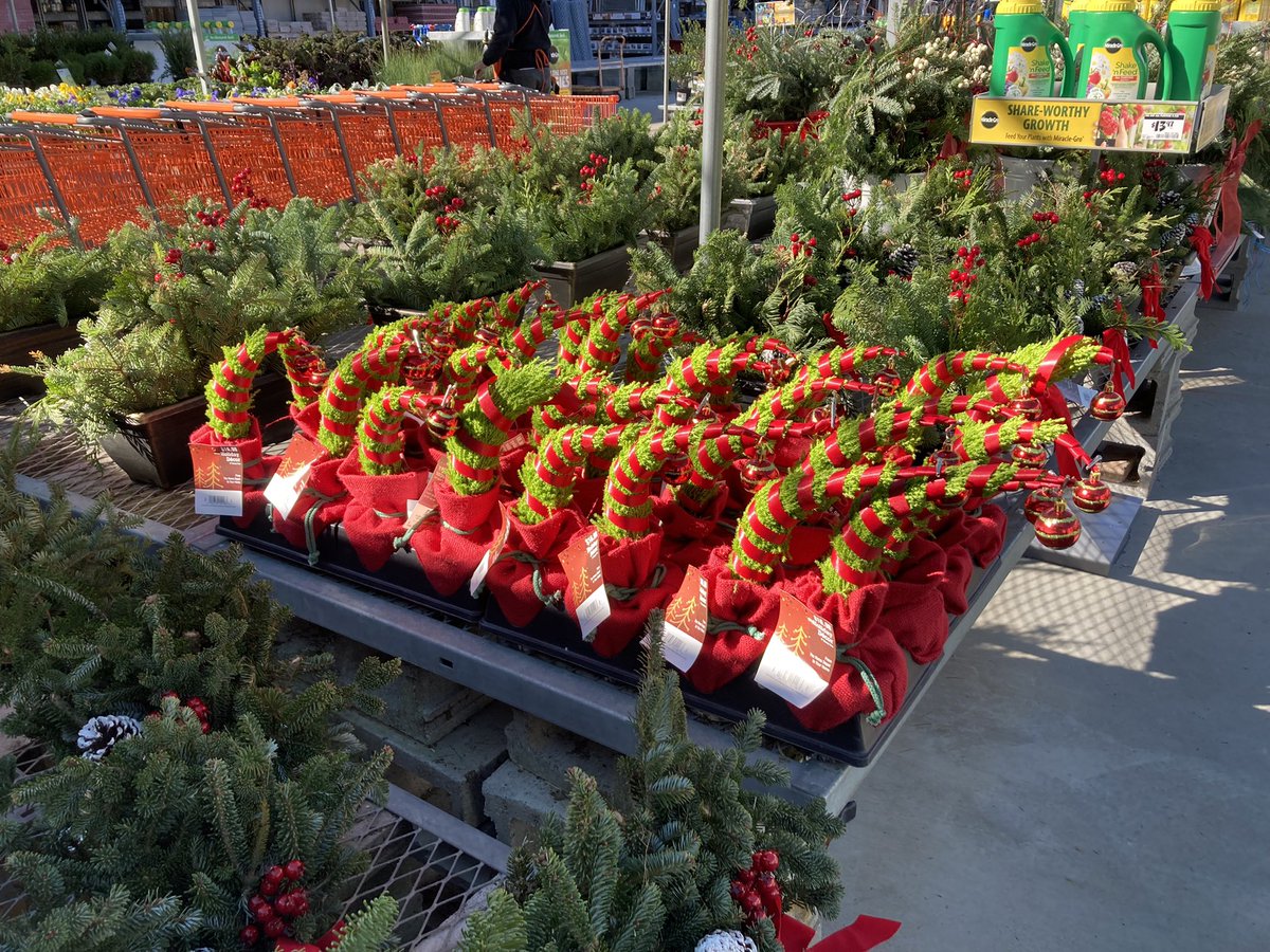 PPScatwilson's tweet photo. HD1108 Spartanburg SC #grumptree These are so cute I can’t stand it! 😍 @PPSLinda @pps_s_atlantic @erinnratliffhd @BobbyBoaenTHD @Stephen_E_Camp @PPSinHD https://t.co/o5DeS8vOIW