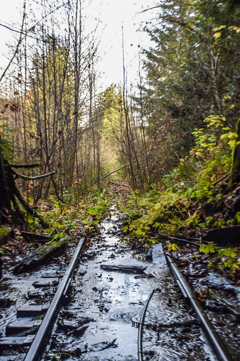 Wolcott Tunnel, Oregon
📸 by Lindsey