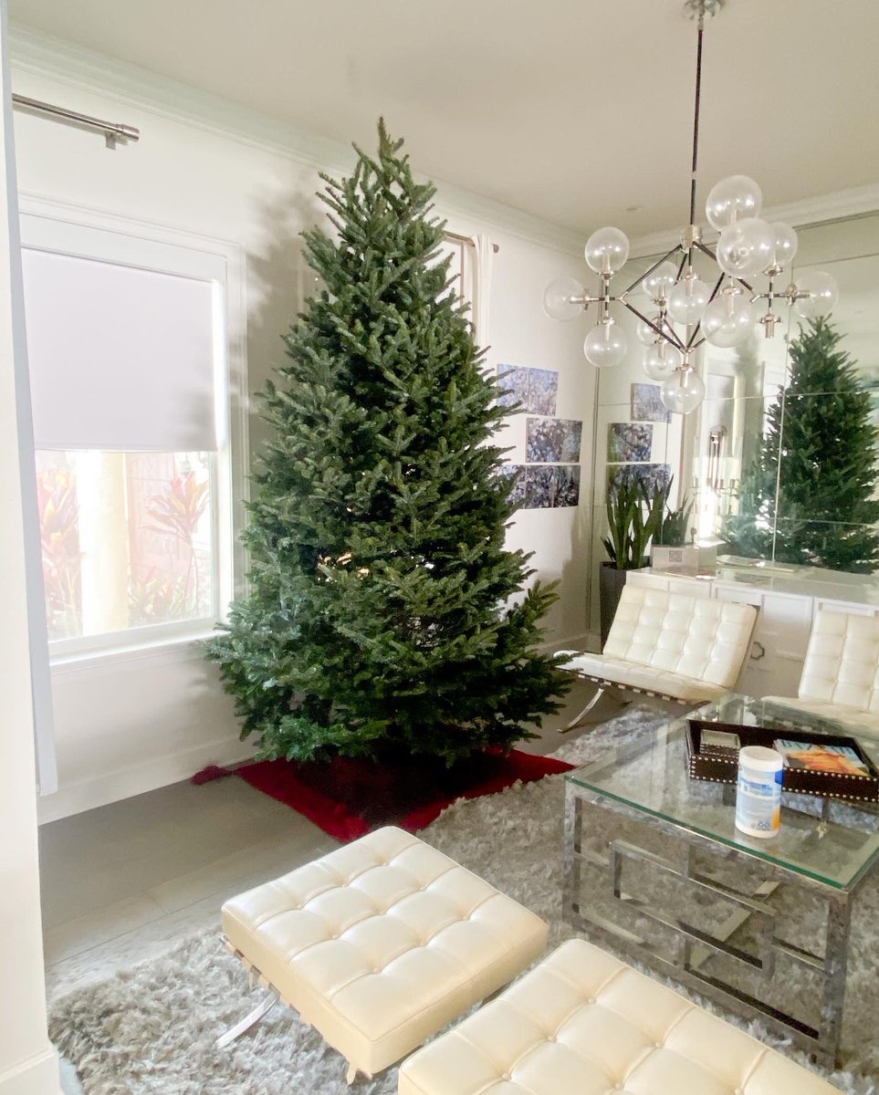 treedropapp's tweet photo. Opening day 2021 was 🔥. We’re dropping trees all over Central Florida, with precision and surgical cleanliness. @bjryan3 #treedrop #christmastreesondemand #christmastreedelivery https://t.co/Ac4LFliZVK